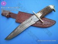 Damascus Fighter Knife with Stag Handle