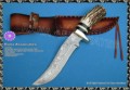 Damasus Hidden Tang Knife with Stag,Bone and Honr ....Click to enlarge